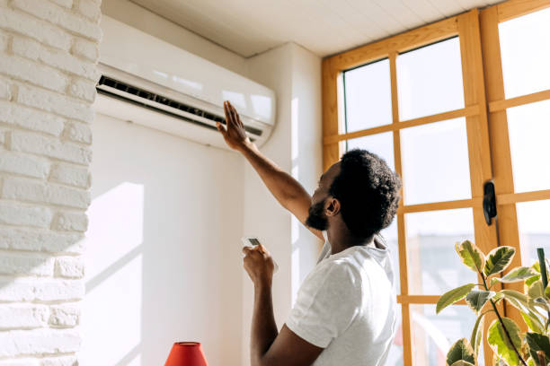 Best HVAC Air Duct Cleaning  in Ely, MN