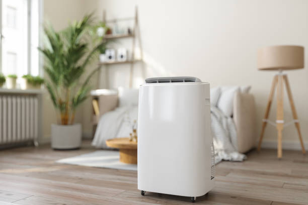 Best Central Air Repair  in Ely, MN